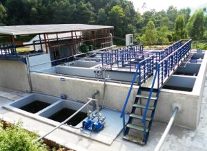 hệ thống xử lý nước thải chăn nuôi